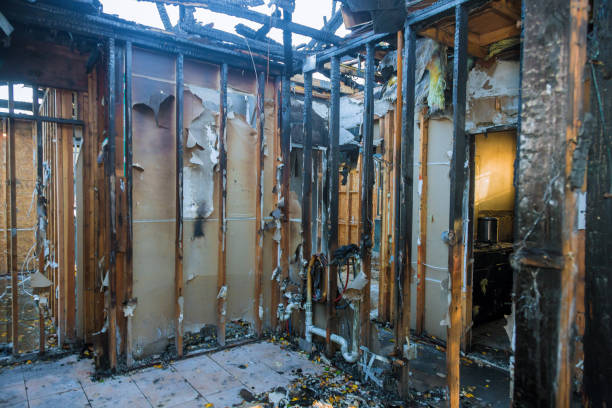 Professional Fire Damage Removal technician working in Gilbert, IA